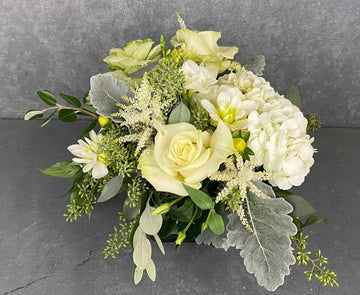 BLANC ET VERDIGRIS